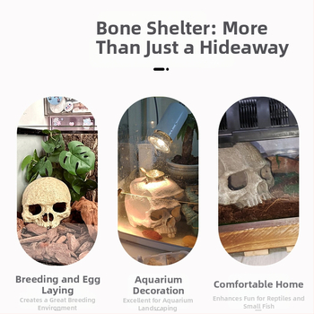 ενυδρείο ενυδρείο διακοσμητικά τοπίου σκορπιός φρουρός παλατιού αράχνη σαύρα φίδι πύθωνας κρανίο οστό αναπαραγωγής σπίτι απόδραση