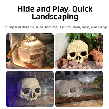 ενυδρείο ενυδρείο διακοσμητικά τοπίου σκορπιός φρουρός παλατιού αράχνη σαύρα φίδι πύθωνας κρανίο οστό αναπαραγωγής σπίτι απόδραση