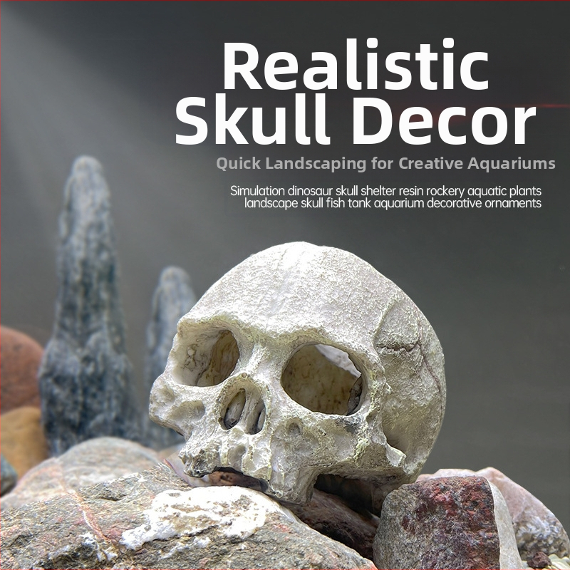 Akvárium akvárium tereprendezés díszek skorpió palota őr pók gyík kígyó piton koponya csont tenyésztés ház menekülés