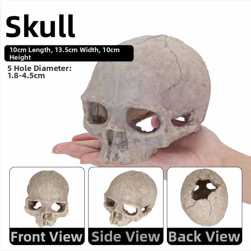 Akvárium akvárium tereprendezés díszek skorpió palota őr pók gyík kígyó piton koponya csont tenyésztés ház menekülés