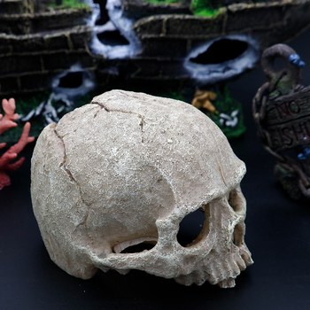 Akvaariumi akvaariumi haljastuskaunistused, skorpionipalee, valvur-ämblik, sisalik, madu, püthon, kolju, luu, pesitsusmaja, põgenemiskaunistused