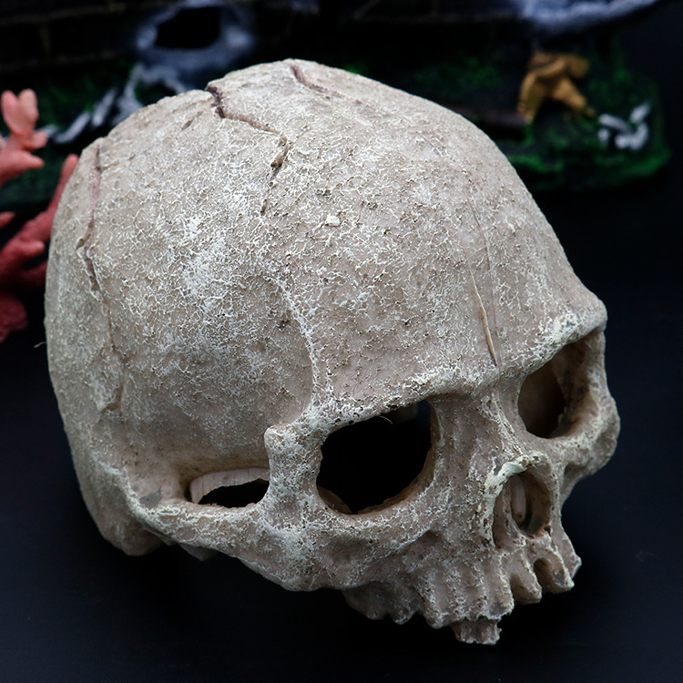 Akvaariumi akvaariumi haljastuskaunistused, skorpionipalee, valvur-ämblik, sisalik, madu, püthon, kolju, luu, pesitsusmaja, põgenemiskaunistused