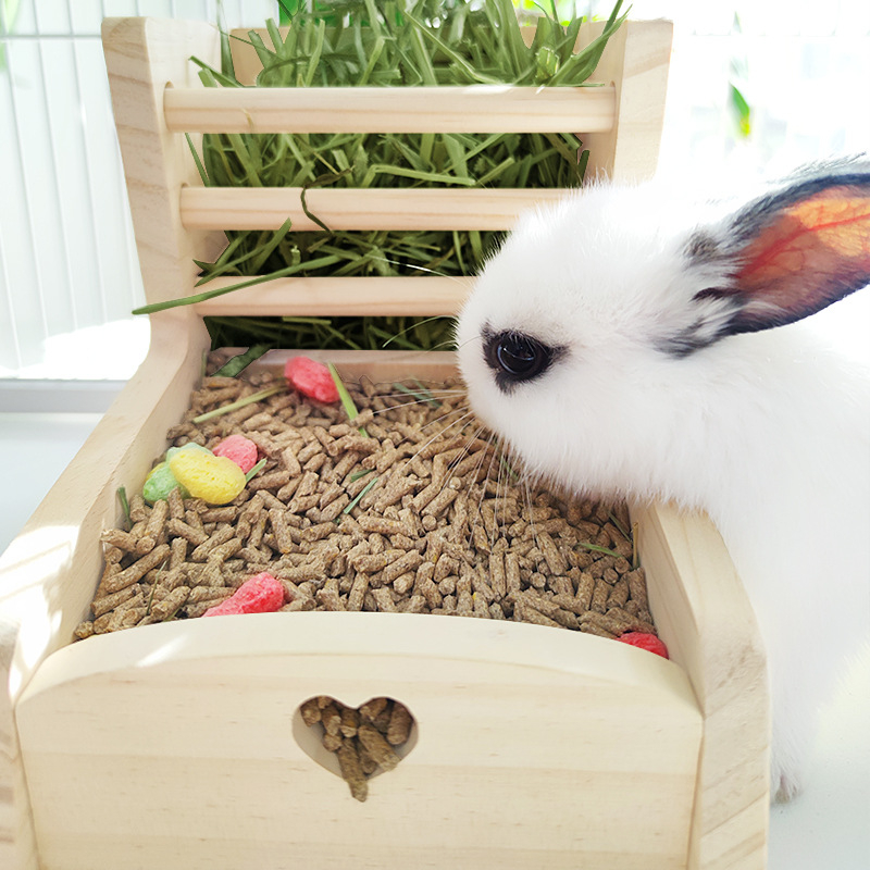 Házinyúl etető fűnyíró fűnyíró állvány tengerimalac csincsilla nyúl fa kettő az egyben fűnyíró állvány hulladékmegelőzés beépített rögzíthető