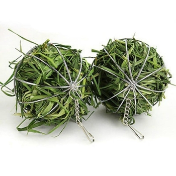 Trušu zāles bumbu var pakārt barošanas zāles materiāla plauktam holandiešu cūkai, šinšillai, nerūsējošā tērauda pārklājuma zāles bumba