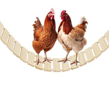 Κούνια Κοτόπουλου Ξύλινη Βάση Κοτόπουλου Παιχνίδι Πουλιών Ξύλινη Βάση Κοτόπουλου για Κατοικίδια Κόκορας Κότα Πέρκα