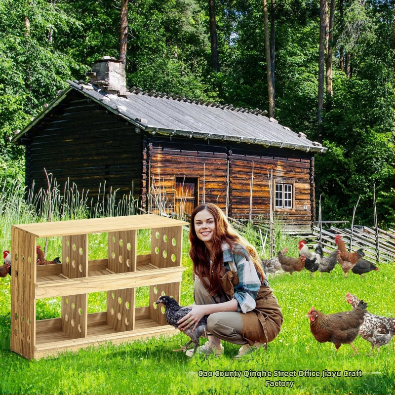 Medinis vištų lizdas namams, tvirtinamas prie sienos, vištų kiaušinių dėjimo lizdas, paukščių buveinių reikmenys, medinis vištidės kiaušinių dėjimo lizdas