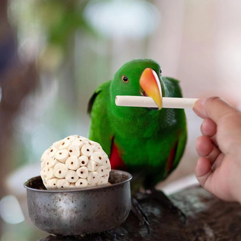 Παιχνίδι μπάλας γρασιδιού Parrot Pure Natural, μασώμενο για την ανακούφιση από την πλήξη, τη διασκέδαση, την αποσυμπίεση, το μάσημα, την εκπαιδευτική διασκέδαση, την καταστροφή.