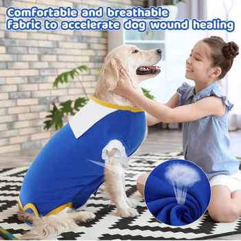 Στολή Αποστείρωσης Κατοικίδιων Ζώων, Χειρουργική Στολή, Στολή Απογαλακτισμού Σκύλου, Ρούχα Τετράποδης Φροντίδας για Ανάρρωση μετά από Χειρουργική Επέμβαση, Αναπνέουσα Στολή, Ειδική για Μεταχειρουργική Χρήση