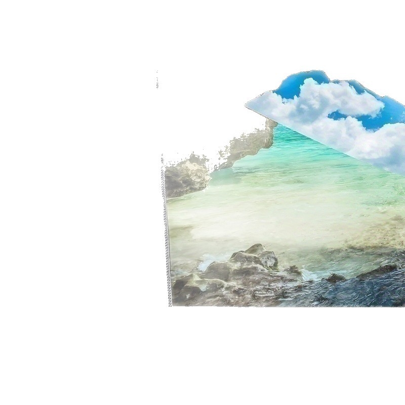 Tarpvalstybinis tiekimas „temu“ kartos plaukai klasikinė gėlių medžio drobė minkšta poliesterio freska miegamajam, svetainei, biurui