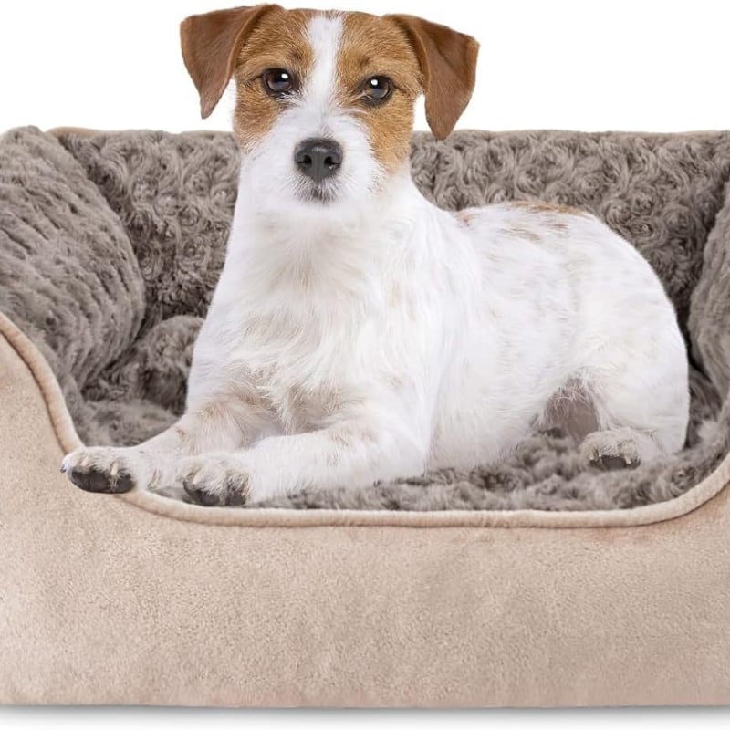 Amazon Explosions Kennel temu Kis, Közepes és Nagy Kutya Teddy Golden Retriever Macskafészek Kisállat Kennel Kutyaágy raktáron