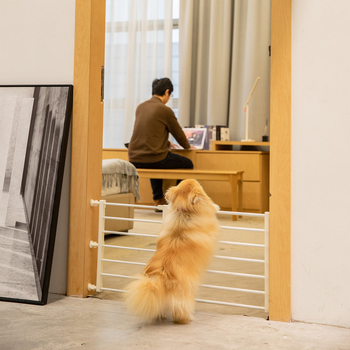 √ Πόρτα απομόνωσης κατοικίδιων ζώων, φράχτης πόρτας γάτας και σκύλου με αντιμπλοκαριστικό μηχανισμό, φράχτης, εσωτερικό κιγκλίδωμα για μεγάλα, μεσαία και μικρά σκυλιά