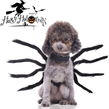 Halloween musta ämbliku koera ümberkujundamine riided kass lemmiklooma kaunistus loominguline õudus naljakas väike suur koer kass