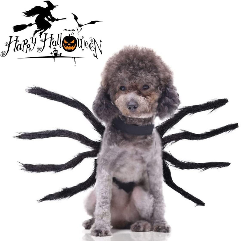 Halloween musta ämbliku koera ümberkujundamine riided kass lemmiklooma kaunistus loominguline õudus naljakas väike suur koer kass