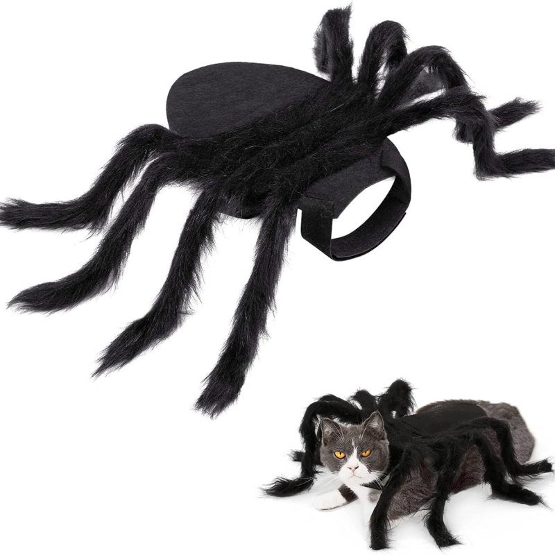 Halloween musta ämbliku koera ümberkujundamine riided kass lemmiklooma kaunistus loominguline õudus naljakas väike suur koer kass