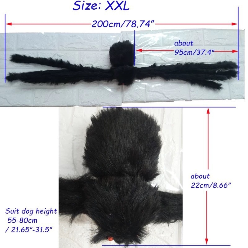 Halloween musta ämbliku koera ümberkujundamine riided kass lemmiklooma kaunistus loominguline õudus naljakas väike suur koer kass