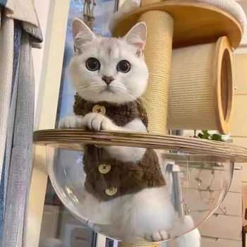 Жилетка за домашни любимци, сладка за кучета и котки, топла жилетка от агнешка вълна, есен и зима, плюшено мече bomei, зима на едро