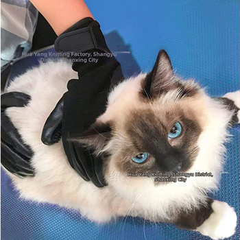 Lemmikloomade suplemis- ja massaažikindad, rullitud kassikindad, rullitud koerakindad, loomade kammimise ja karvaeemaldusvahendid, puhastamise ja ujumiskindad