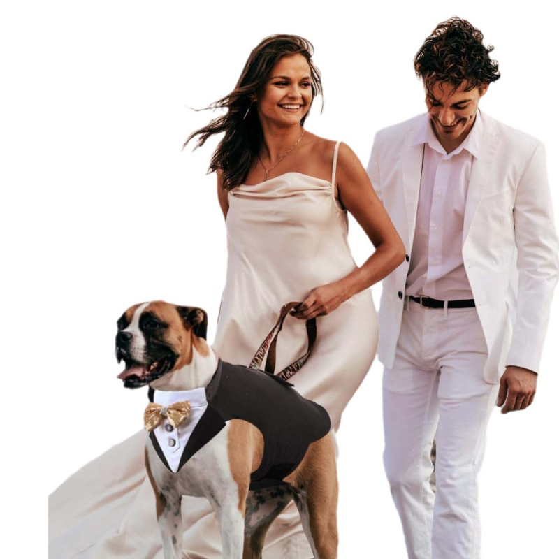 TANPOPO határokon átnyúló új kisállatruha-öltöny szmoking kisállatsál kisállatruházat party jelmezek