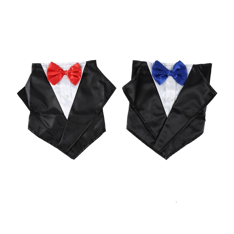 Lemmiklooma kostüüm, kleit, sall, sülitaja, pulmakleit, härrasmeeste lips, kuldne retriiver, labrador