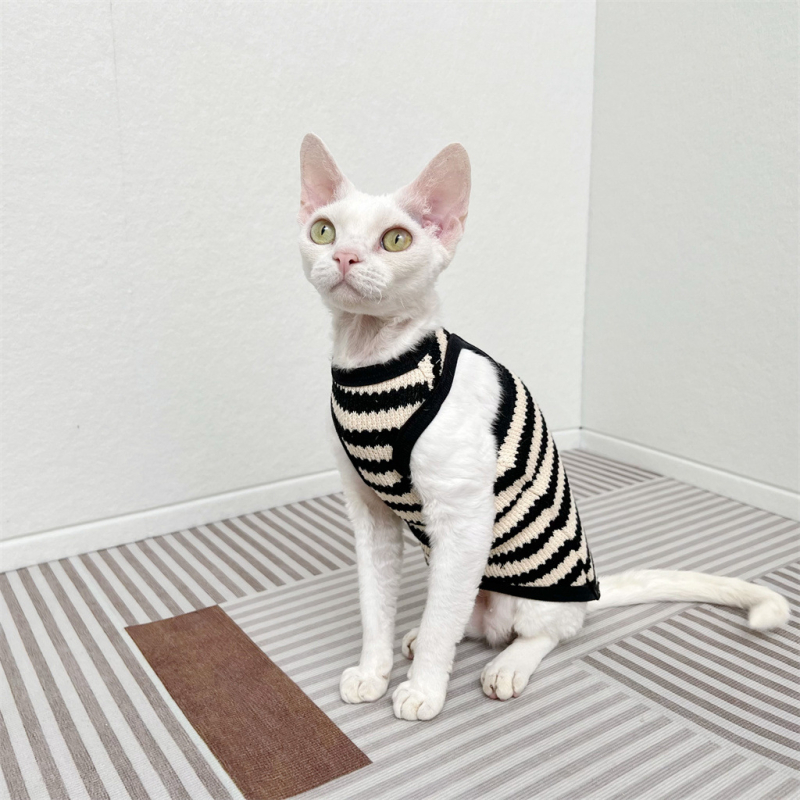 Szfinx szőrtelen macska német ruházat retró pulóver rugalmas ujjatlan mellény rövid szárú őszi Bf Design Sense