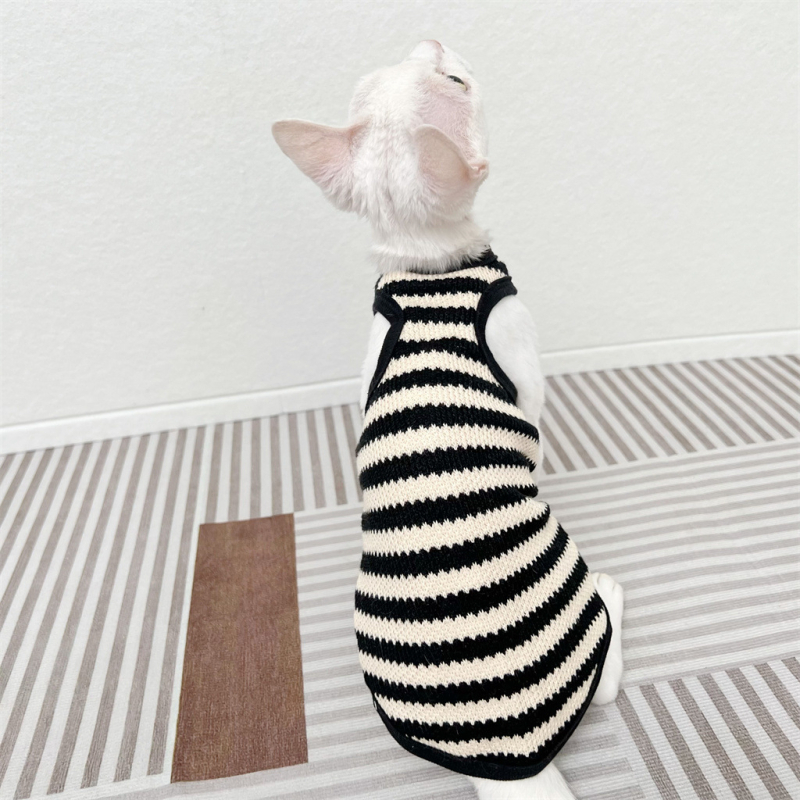 Szfinx szőrtelen macska német ruházat retró pulóver rugalmas ujjatlan mellény rövid szárú őszi Bf Design Sense