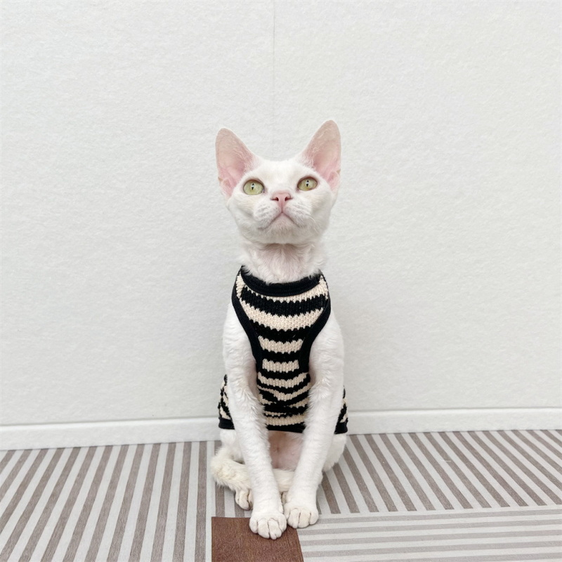 Szfinx szőrtelen macska német ruházat retró pulóver rugalmas ujjatlan mellény rövid szárú őszi Bf Design Sense