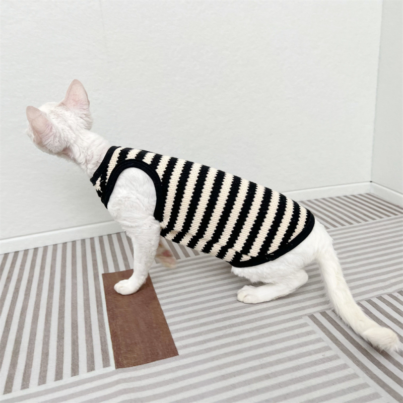 Szfinx szőrtelen macska német ruházat retró pulóver rugalmas ujjatlan mellény rövid szárú őszi Bf Design Sense