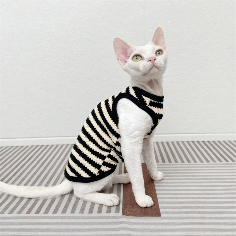 Szfinx szőrtelen macska német ruházat retró pulóver rugalmas ujjatlan mellény rövid szárú őszi Bf Design Sense