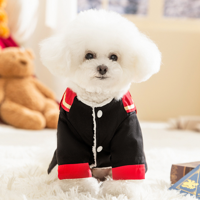 Új kutyaruhák őszi és téli meleg varázslatos főiskolai egyenruha téli szoknya medve kiskutya macska állatruházat
