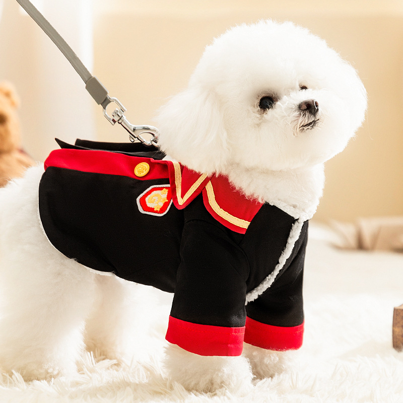 Új kutyaruhák őszi és téli meleg varázslatos főiskolai egyenruha téli szoknya medve kiskutya macska állatruházat
