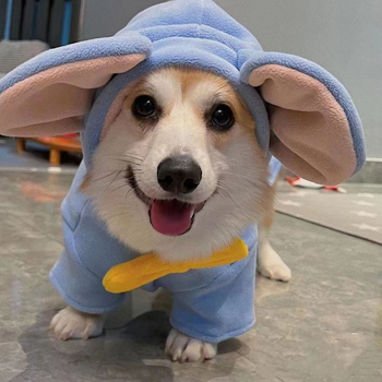 Ρούχα για σκύλους Dumbo, Corgi Bichon, Schnauzer, Shiba Inu, Φθινόπωρο και Χειμώνας, Χειμερινά Ρούχα για σκύλους