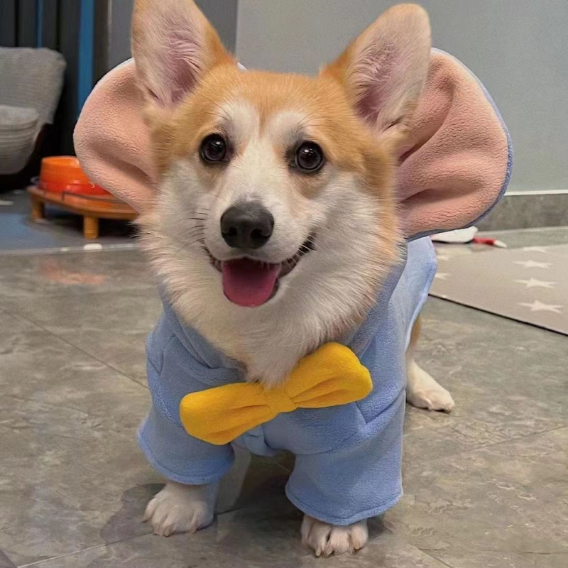 Dumbo koerariided Corgi Bichon Schnauzer Shiba Inu koerariided Sügis- ja talveriided koertele Talveriided