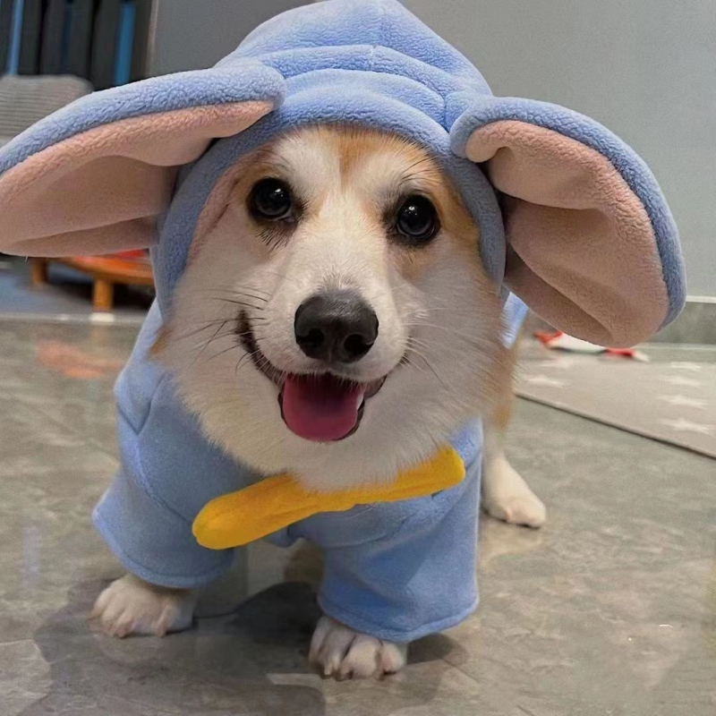 Dumbo koerariided Corgi Bichon Schnauzer Shiba Inu koerariided Sügis- ja talveriided koertele Talveriided