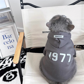 Есенни и зимни дрехи за котки, топли зимни британски и американски къси златни и сребърни постепенно постепенни Muppet Kitten, красив суичър за домашни любимци