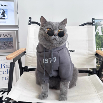 Есенни и зимни дрехи за котки, топли зимни британски и американски къси златни и сребърни постепенно постепенни Muppet Kitten, красив суичър за домашни любимци