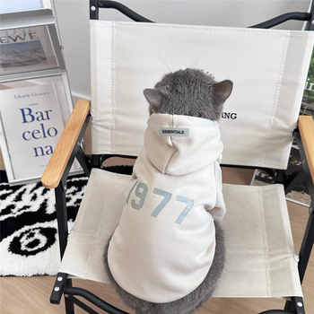Есенни и зимни дрехи за котки, топли зимни британски и американски къси златни и сребърни постепенно постепенни Muppet Kitten, красив суичър за домашни любимци