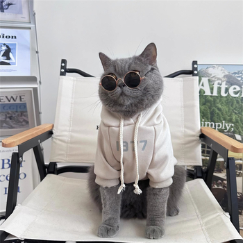 Есенни и зимни дрехи за котки, топли зимни британски и американски къси златни и сребърни постепенно постепенни Muppet Kitten, красив суичър за домашни любимци