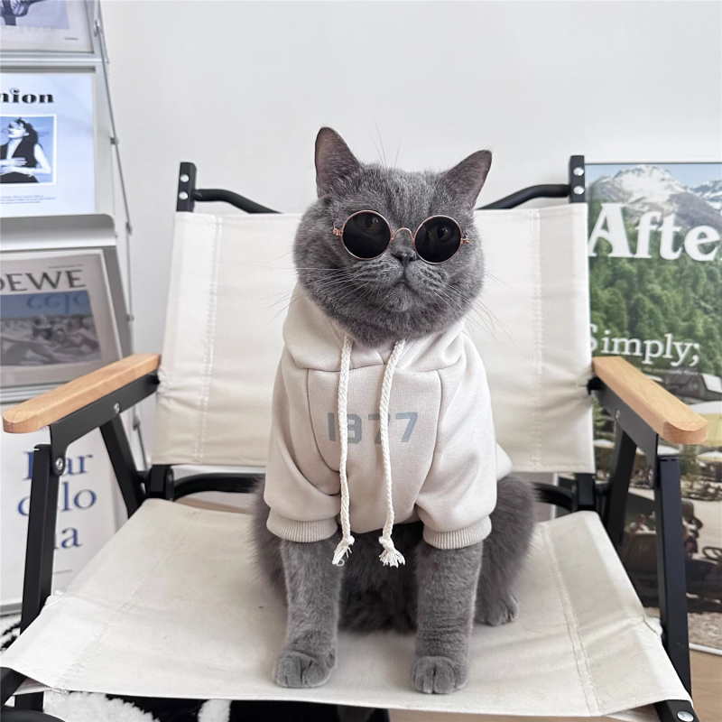Есенни и зимни дрехи за котки, топли зимни британски и американски къси златни и сребърни постепенно постепенни Muppet Kitten, красив суичър за домашни любимци