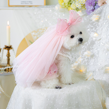 Lemmikloomariided Tutu seelik Marli seelik Kevad- ja suveprintsess Tutu seelik Roosa Südamekujuline Tutu seelik + Kroonloor Roosa