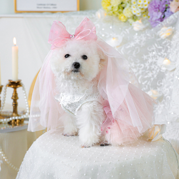 Ρούχα για κατοικίδια, Φούστα τούτου, Φούστα γάζας, Άνοιξη και Καλοκαίρι, Φούστα τούτου πριγκίπισσας, Ροζ, Φούστα τούτου με καρδιά + Πέπλο Κορώνας, Ροζ