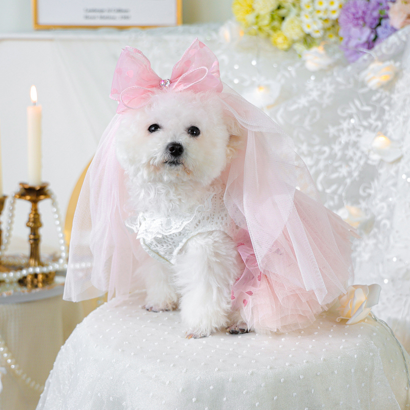 Lemmikloomariided Tutu seelik Marli seelik Kevad- ja suveprintsess Tutu seelik Roosa Südamekujuline Tutu seelik + Kroonloor Roosa