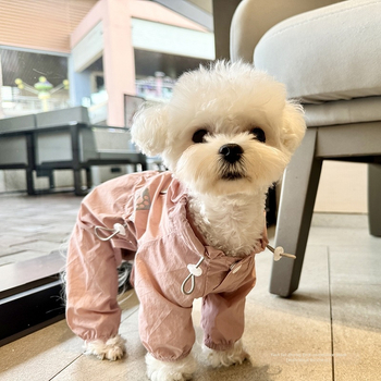 Kutyaruhák egyszerű és elegáns, könnyű, esőálló, porálló, napálló, szúnyogvédő tavaszi és nyári mackó Schanery Maltai