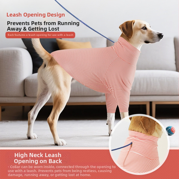 Amazon 2025 Έτος του Φιδιού Νέα Ρούχα Σκύλου Χειμερινά Ρούχα Σπιτιού Ζεστά Ρούχα για Μεγάλους Σκύλους Έτοι σε Απόθεμα