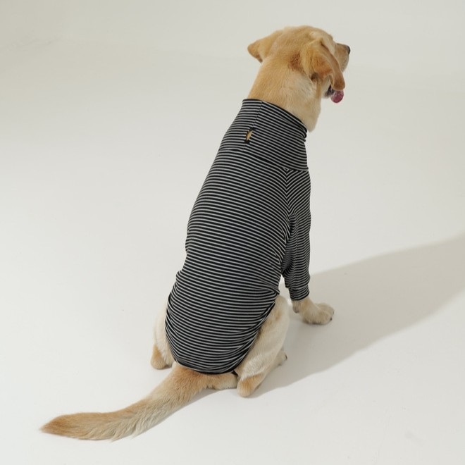 Amazon 2025. aasta mao uued koerariided, talveriided, kõrge kraega jalad, soojad suurte koerte riided, laos olemas.