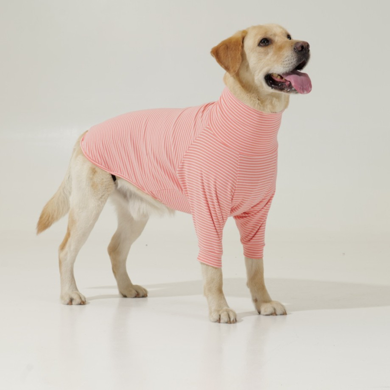 Amazon 2025. aasta mao uued koerariided, talveriided, kõrge kraega jalad, soojad suurte koerte riided, laos olemas.