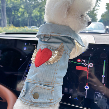 σε απόθεμα διασυνοριακές εκρήξεις ρούχα για κατοικίδια πηγή εργοστασίου απευθείας άνοιξη και φθινόπωρο χαριτωμένο γιλέκο τζιν με φτερά αγγέλου