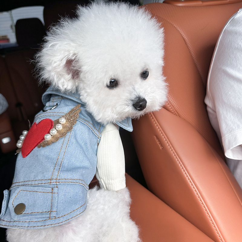 raktáron határokon átnyúló robbanások kisállatruhák közvetlen gyári beszerzés tavasz és ősz aranyos angyalszárnyak farmermellény