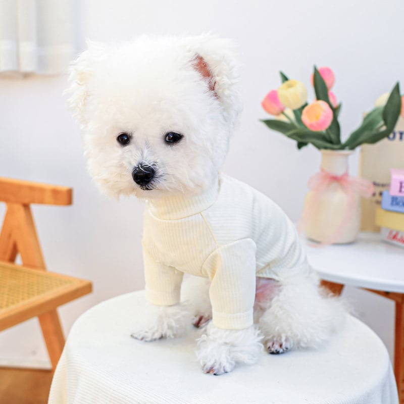 raktáron határokon átnyúló robbanások kisállatruhák közvetlen gyári beszerzés tavasz és ősz aranyos angyalszárnyak farmermellény