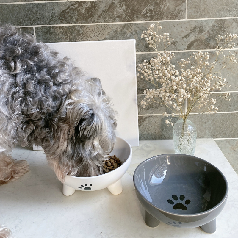 Kerámia macskatál kutyamosó nagy átmérőjű kopogásgátló kutyatál kisállat itatótál macska rizstál kisállat kellékek nagykereskedelem