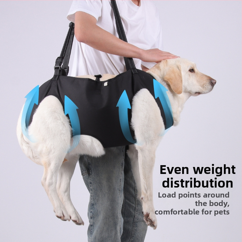 Nový pomocný pás pre domáce zvieratá od Amazonu pre staršie psy, zdravotne postihnuté psy, rehabilitačné cestovanie, veľkoobchod s nastaviteľným trakčným lanom na hrudník a chrbát